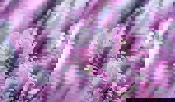 Christopher Jolly Jaw9e0rnq94 Unsplash (1)